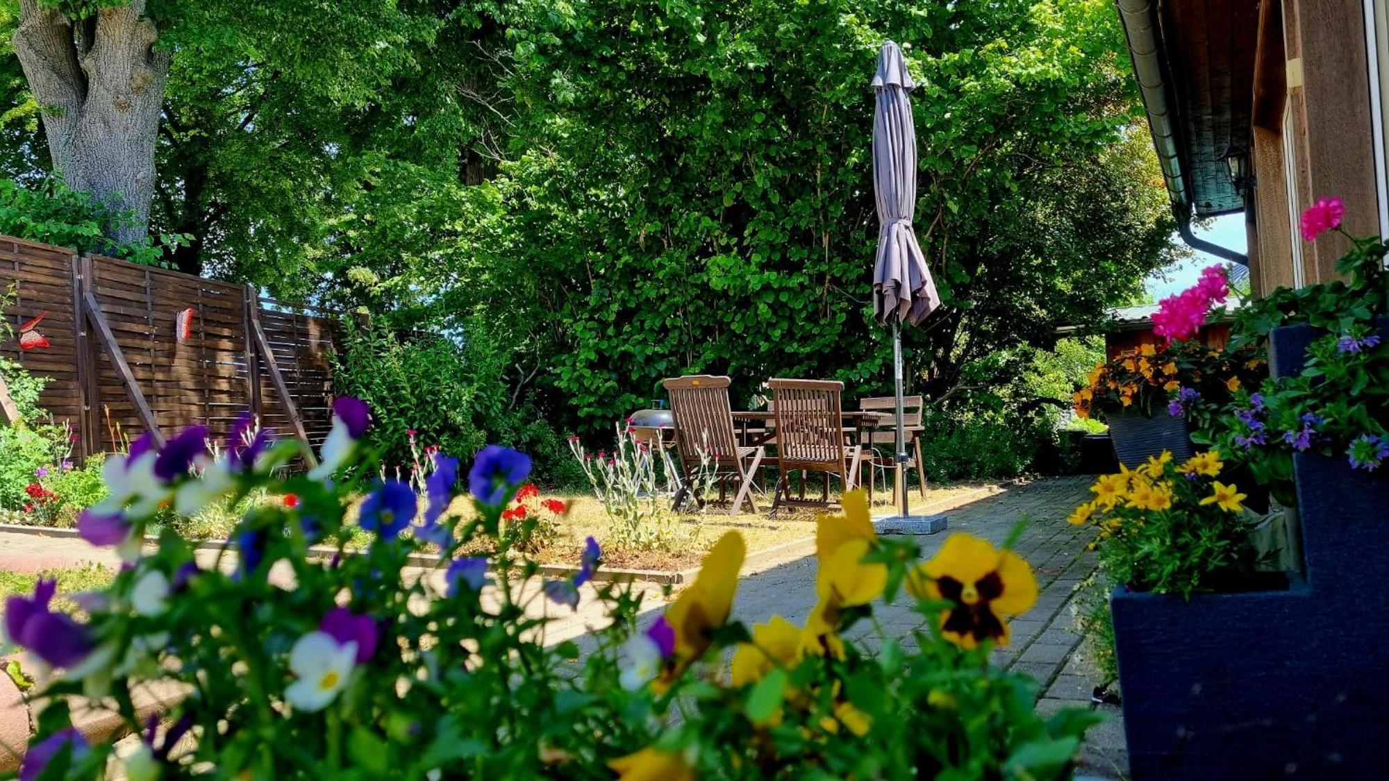 W5 - Urlaubsmagie - Wohnung Mit Grill, Terrasse & Pool Lichtenhain  Εξωτερικό φωτογραφία